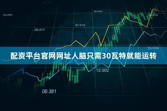 配资平台官网网址人脑只需30瓦特就能运转
