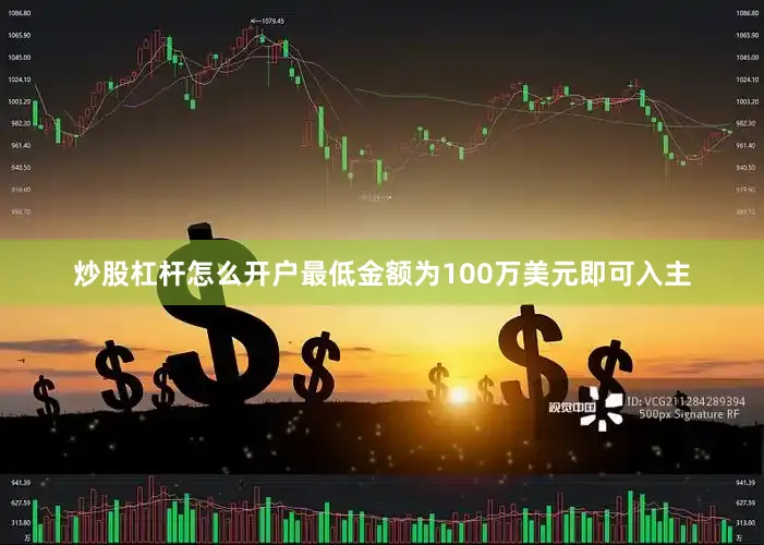 炒股杠杆怎么开户最低金额为100万美元即可入主