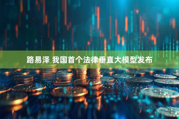 路易泽 我国首个法律垂直大模型发布